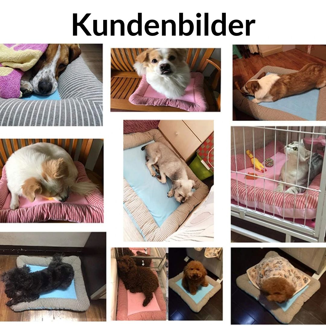 PuppyPlace - *Premium* Kühlmatte Für Den Sommer