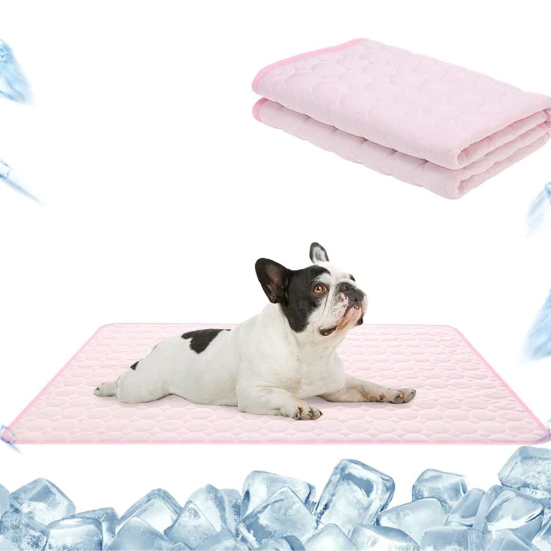 PuppyPlace - Kühlmatte Für Den Sommer